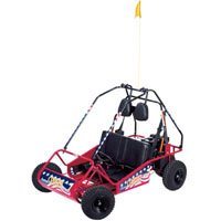 Zoom - VIR131268